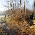 161203-PK-afzetten houtwal langs Klotbeek-2- 4 